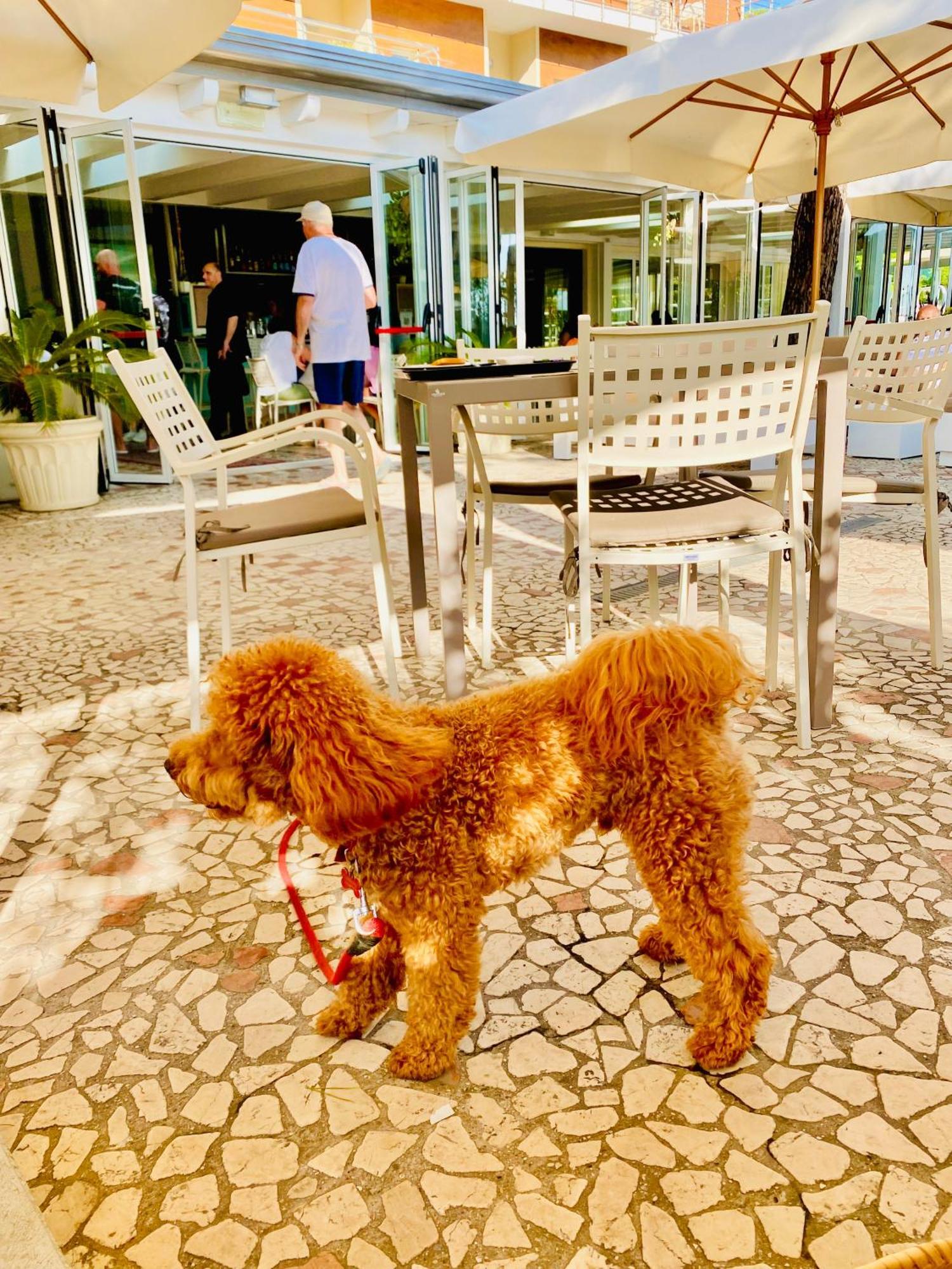 Hotel Franca Milano Marittima Exterior foto